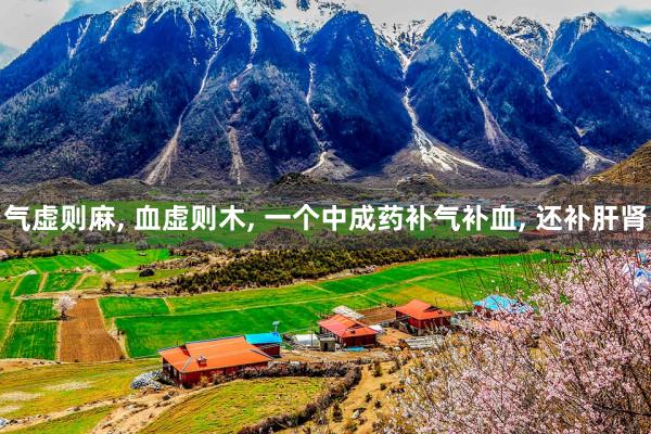 气虚则麻, 血虚则木, 一个中成药补气补血, 还补肝肾