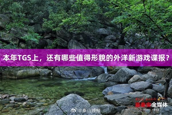 本年TGS上，还有哪些值得形貌的外洋新游戏谍报？