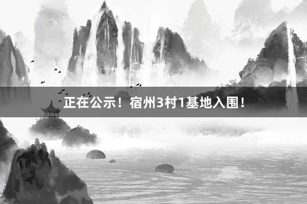 正在公示！宿州3村1基地入围！