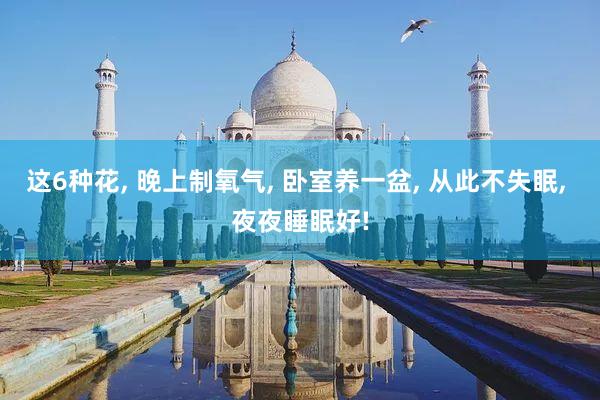 这6种花, 晚上制氧气, 卧室养一盆, 从此不失眠, 夜夜睡眠好!