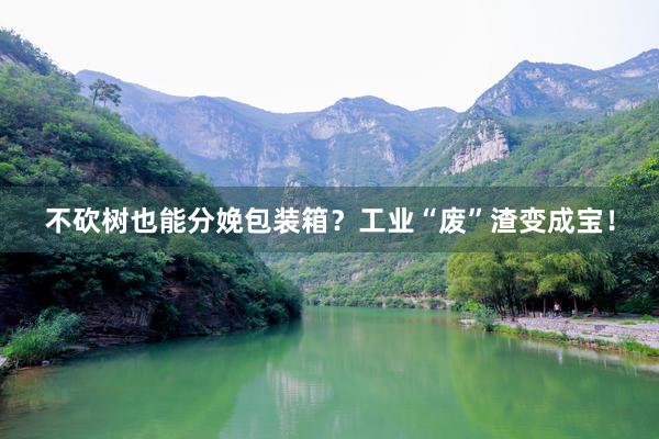 不砍树也能分娩包装箱？工业“废”渣变成宝！