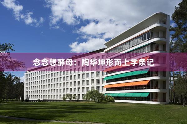 念念想酵母：陶华坤形而上学条记
