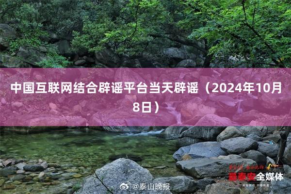 中国互联网结合辟谣平台当天辟谣（2024年10月8日）